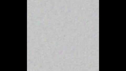 LadyAlpa online show from December 2025 08:08:02 AM