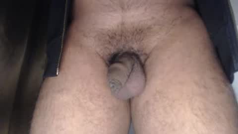 oilypanda online show from January 2026 12:53:02 PM