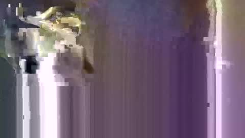 r04233054 online show from January 2026 08:16:01 AM