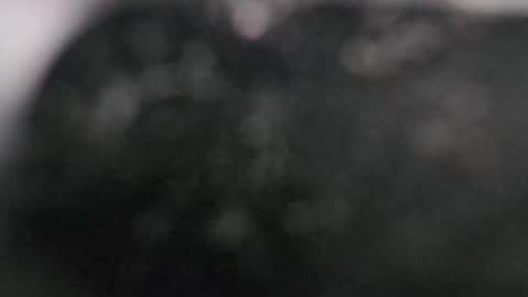 Snapshot of r9dima1998 chatting on March 2025 07:58:02 PM Dmitry online show from March 2025 07:58:02 PM