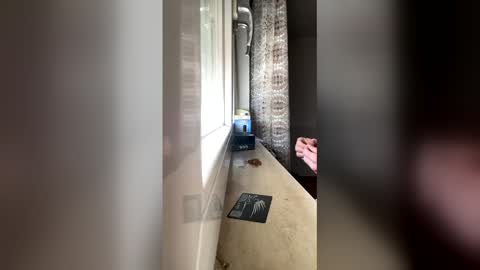 raknar992 online show from January 2026 12:31:01 PM