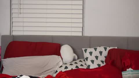 Snapshot of ramichick chatting on January 2025 06:11:02 AM Rami online show from January 2025 06:11:02 AM