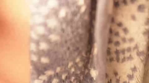 Snapshot of ramichick chatting on February 2025 04:42:02 AM Rami online show from February 2025 04:42:02 AM