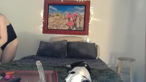    RAMONA Q   online show from April 2026 08:42:02 AM