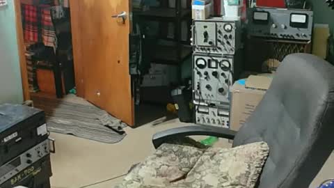 Snapshot of randalltotazz chatting on April 2026 12:56:01 AM Randall online show from April 2026 12:56:01 AM