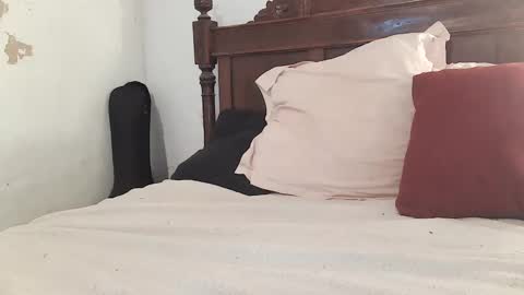 Ran online show from February 2025 12:17:02 PM