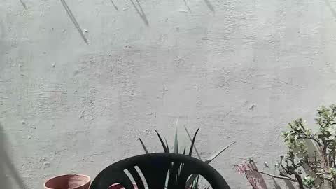 Snapshot of ranthanplan46 chatting on April 2026 11:02:02 AM Ran online show from April 2026 11:02:02 AM