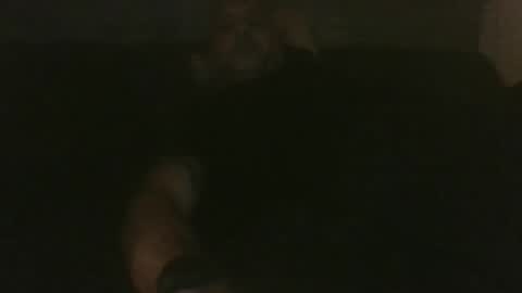 Snapshot of rapzerr chatting on September 2025 03:29:01 AM rapzerr online show from September 2025 03:29:01 AM