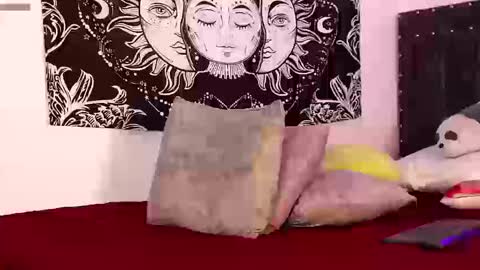 Snapshot of raven06_ chatting on March 2026 11:11:01 PM Raven online show from March 2026 11:11:01 PM