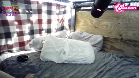 Snapshot of raven_8687 chatting on April 2026 04:46:01 AM Raven online show from April 2026 04:46:01 AM