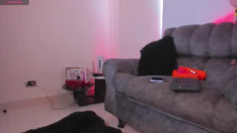   online show from February 2026 12:54:01 PM