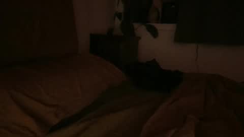 sebas online show from February 2025 06:51:02 AM