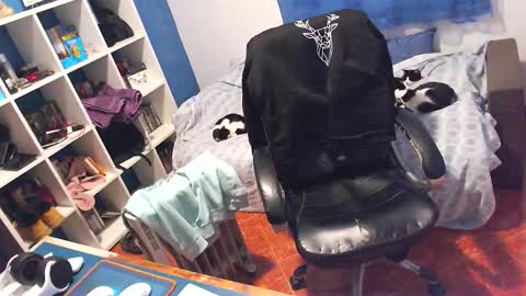 ravingr3d3 online show from February 2026 12:10:01 PM