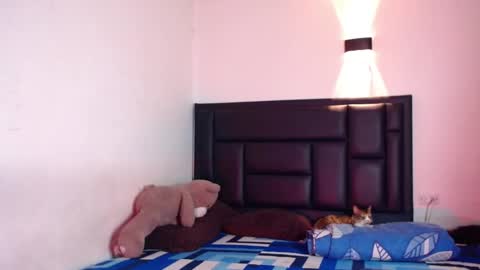 Rayn online show from October 2025 07:33:01 AM