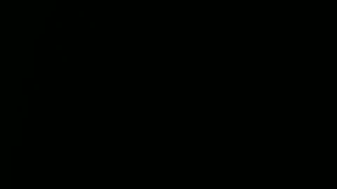 Ray online show from December 2024 03:57:01 PM