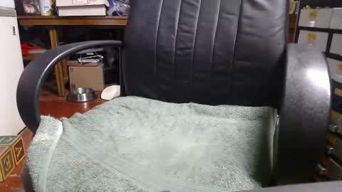 Ray online show from December 2024 12:11:01 AM