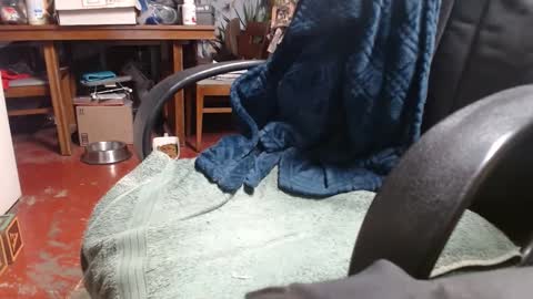 Ray online show from January 2025 01:04:02 AM