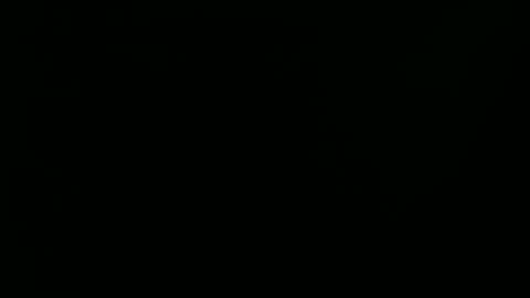 Ray online show from January 2025 09:20:01 PM