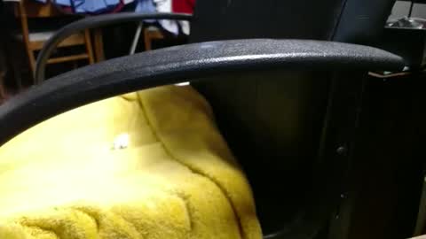 Ray online show from April 2026 11:35:01 AM