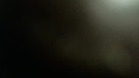 Snapshot of rdyforitall chatting on December 2024 01:32:02 AM Mr Nice online show from December 2024 01:32:02 AM