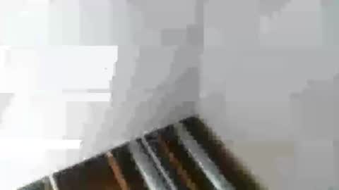 Snapshot of rdyforitall chatting on January 2025 02:48:01 AM Mr Nice online show from January 2025 02:48:01 AM