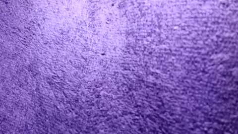 Snapshot of reafrio chatting on October 2025 06:30:02 PM Rasta online show from October 2025 06:30:02 PM