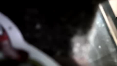 Snapshot of reba21 chatting on February 2026 11:58:02 PM reba21 online show from February 2026 11:58:02 PM