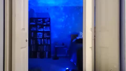 rebelstarlight online show from February 2026 10:00:02 AM