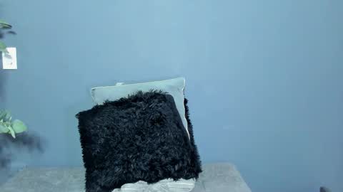 twitter REECET26 instagram RECCETAYLOR online show from March 2026 12:34:02 AM