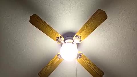 red24devils online show from November 2025 01:04:02 AM