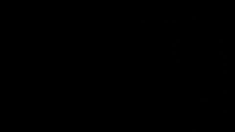 Neta online show from October 2025 01:13:02 AM