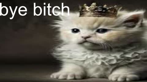 QUEEN OF EVIL online show from December 2024 05:02:01 AM