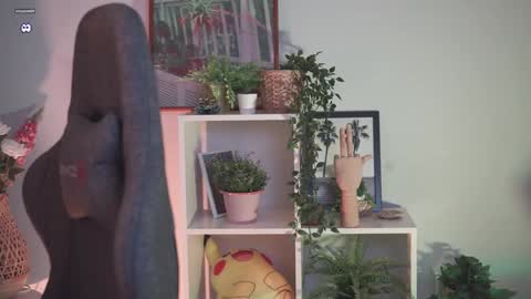 QUEEN OF EVIL online show from December 2024 05:22:02 PM