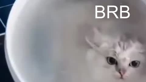 QUEEN OF EVIL online show from January 2025 10:54:01 PM