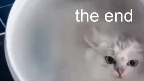 QUEEN OF EVIL online show from January 2025 01:56:02 AM