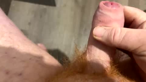 redbeard275 online show from January 2026 07:28:02 PM