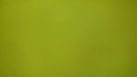 Snapshot of redplume chatting on February 2026 11:16:01 AM Redplume online show from February 2026 11:16:01 AM