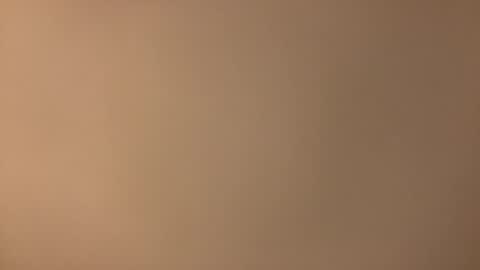 Snapshot of redplume chatting on April 2026 08:03:01 PM Redplume online show from April 2026 08:03:01 PM