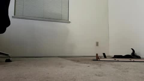 regular03 online show from October 2025 08:18:01 AM