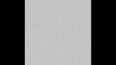 Renae Tom online show from October 2025 11:25:01 AM