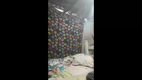 requenaelizabeth42 online show from May 2026 10:43:02 AM