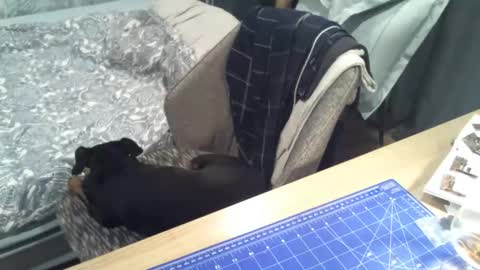 reunionussr online show from November 2025 04:45:02 PM