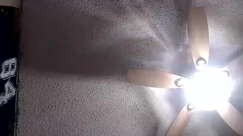 Snapshot of rg120 chatting on December 2025 12:43:02 PM rg120 online show from December 2025 12:43:02 PM