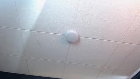 Ricardo online show from September 2025 01:45:01 PM