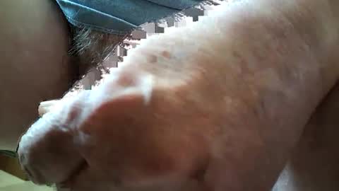 Always crusing cams online show from February 2025 05:43:01 PM