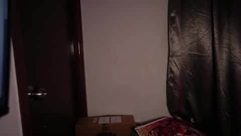 Snapshot of riniryokouwu chatting on October 2025 10:45:02 PM    online show from October 2025 10:45:02 PM