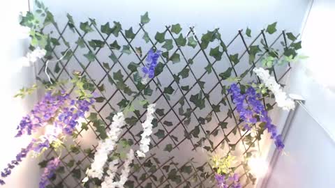 Snapshot of risitos_de_oro_ chatting on April 2026 10:12:02 PM Risitos De Oro online show from April 2026 10:12:02 PM