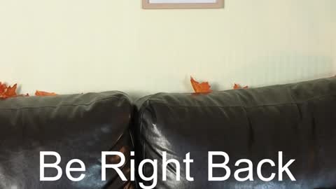 Alice online show from December 2024 11:02:01 AM