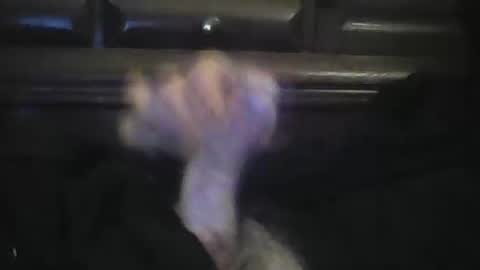 rlpl online show from February 2026 06:05:01 PM