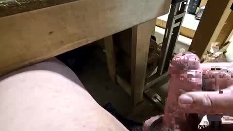 robbiebob6828 online show from January 2026 11:31:02 PM